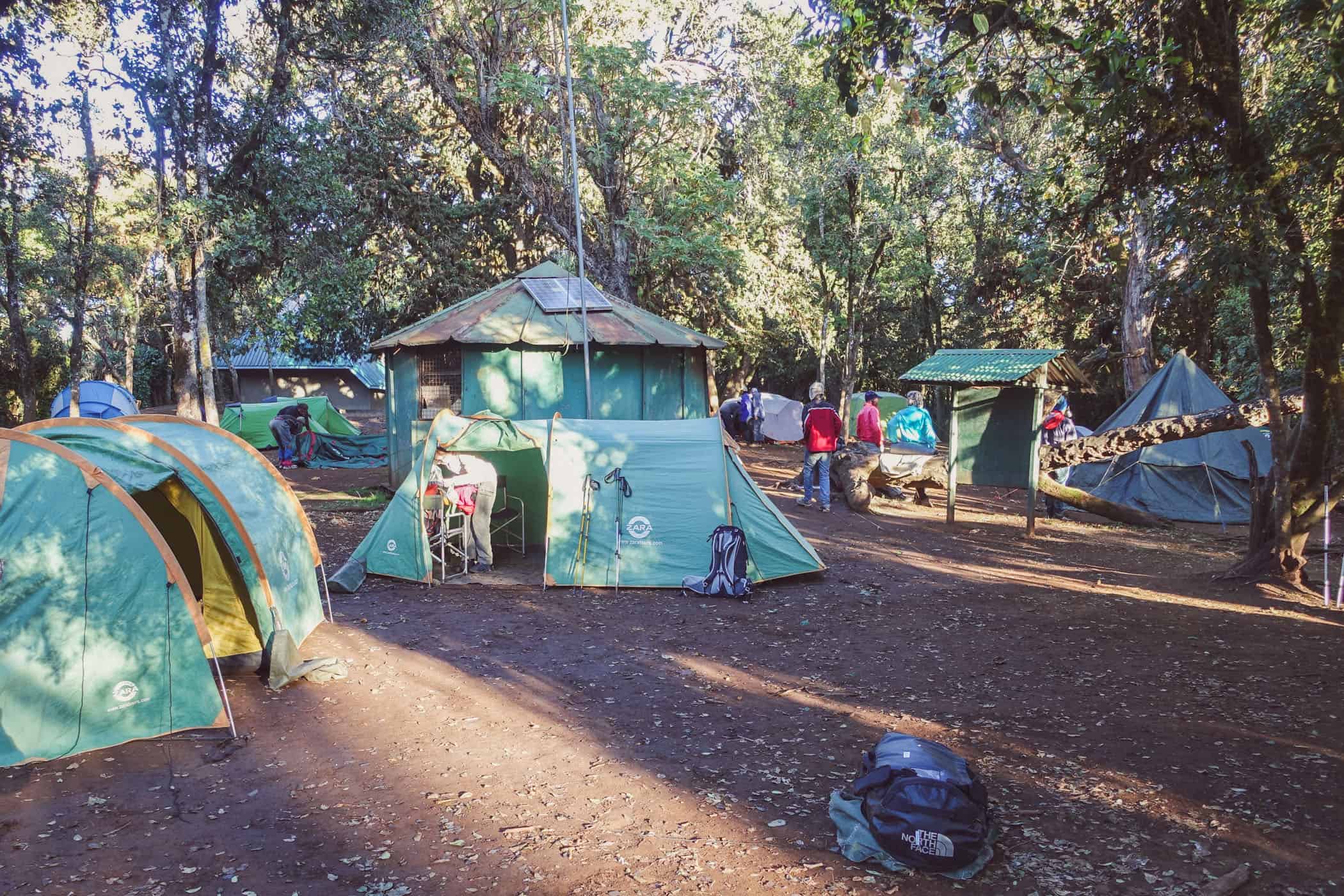 MT。通过北线骑行乞力马扎罗徒步旅行（10天）。 - 2