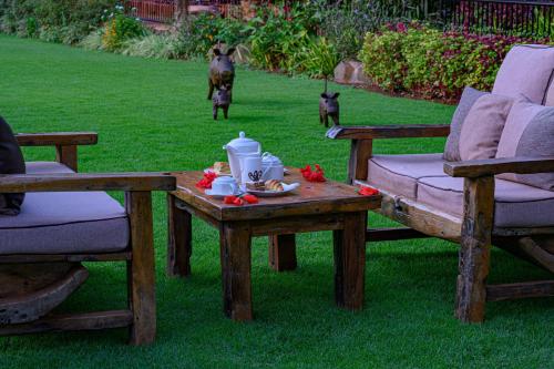  野生坦桑尼亚萨法里（3天）。 - 1