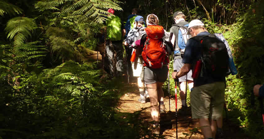 MT。乞力马扎罗徒步旅行通过龙盖路线（7天）。 - 2