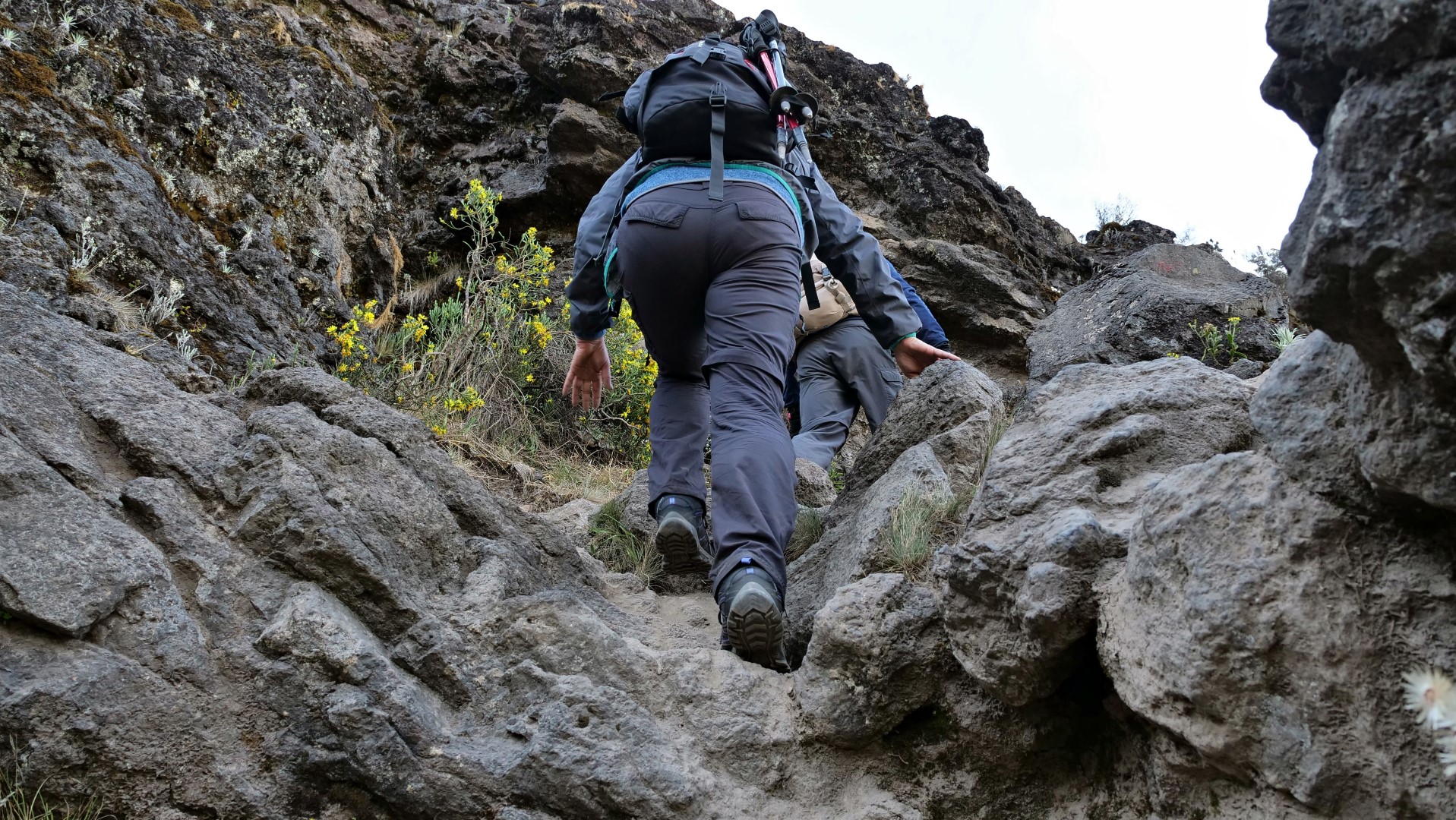 MT。通过UMBWE路线进行乞力马扎罗徒步旅行（6天）。 - 3