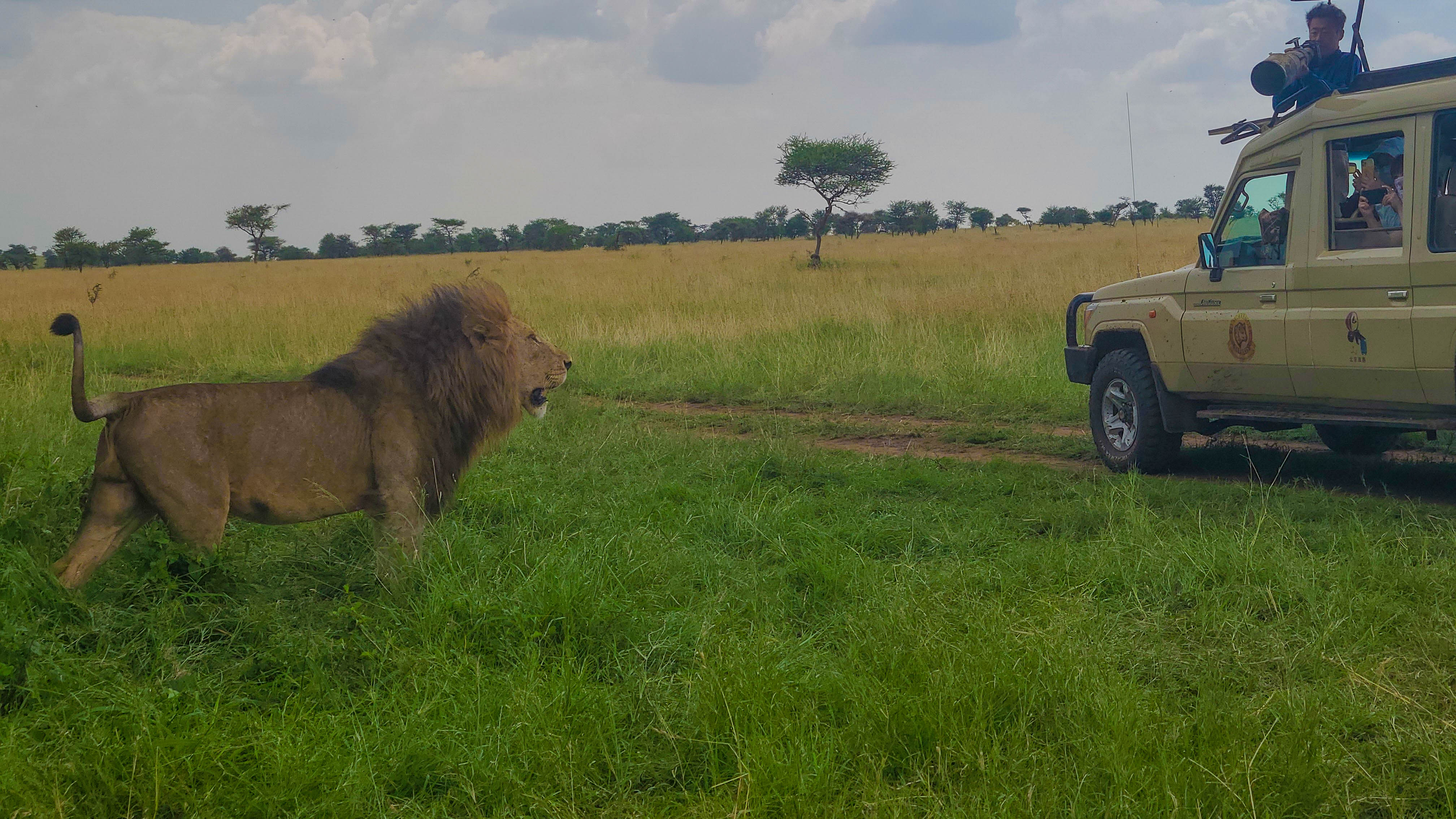 为期6天的坦桑尼亚中程Safari体验