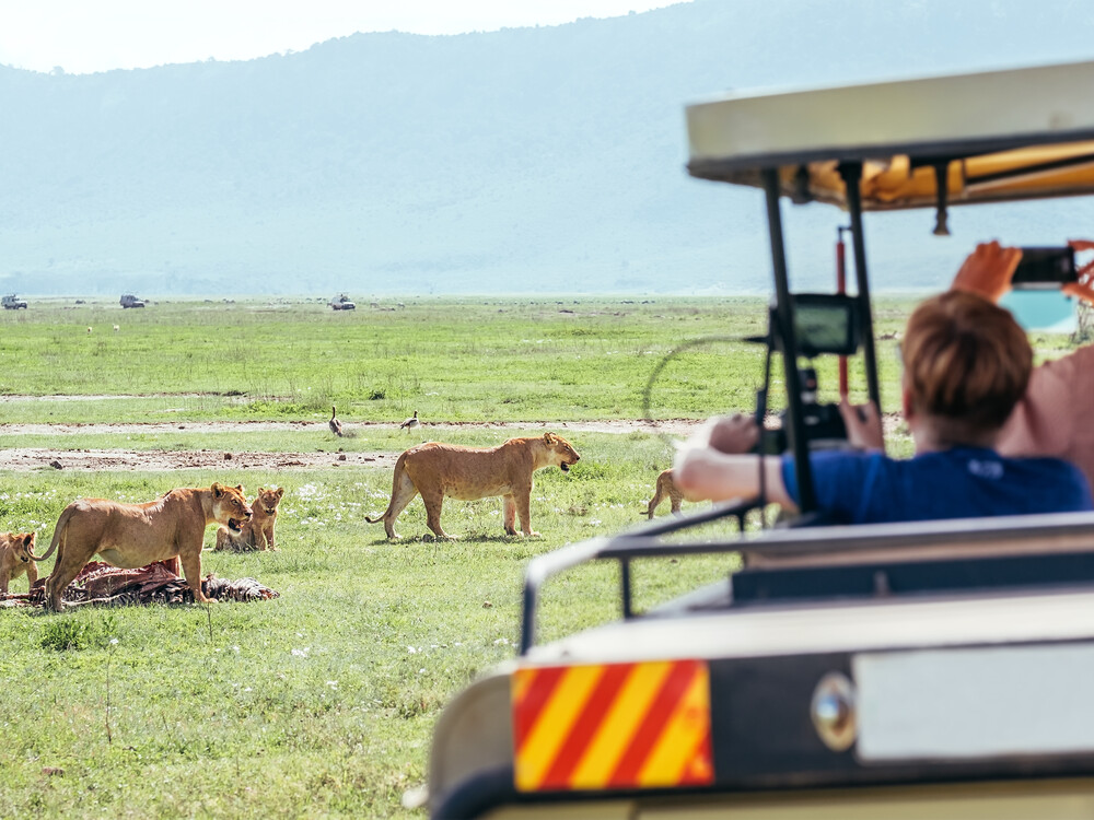 “为期5天的恩杜图野生动物体验——大迁徙后” - 3