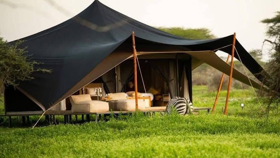 Untamed Migration Camp