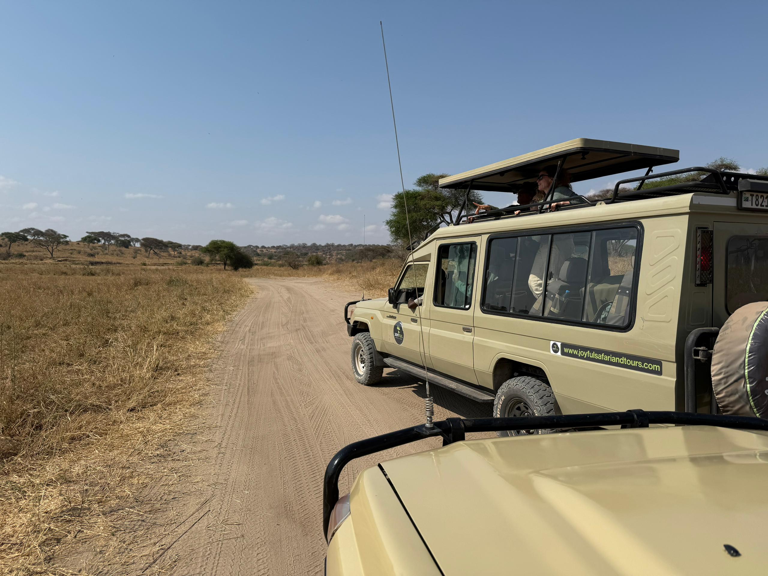 4天Safari-高端 - 4