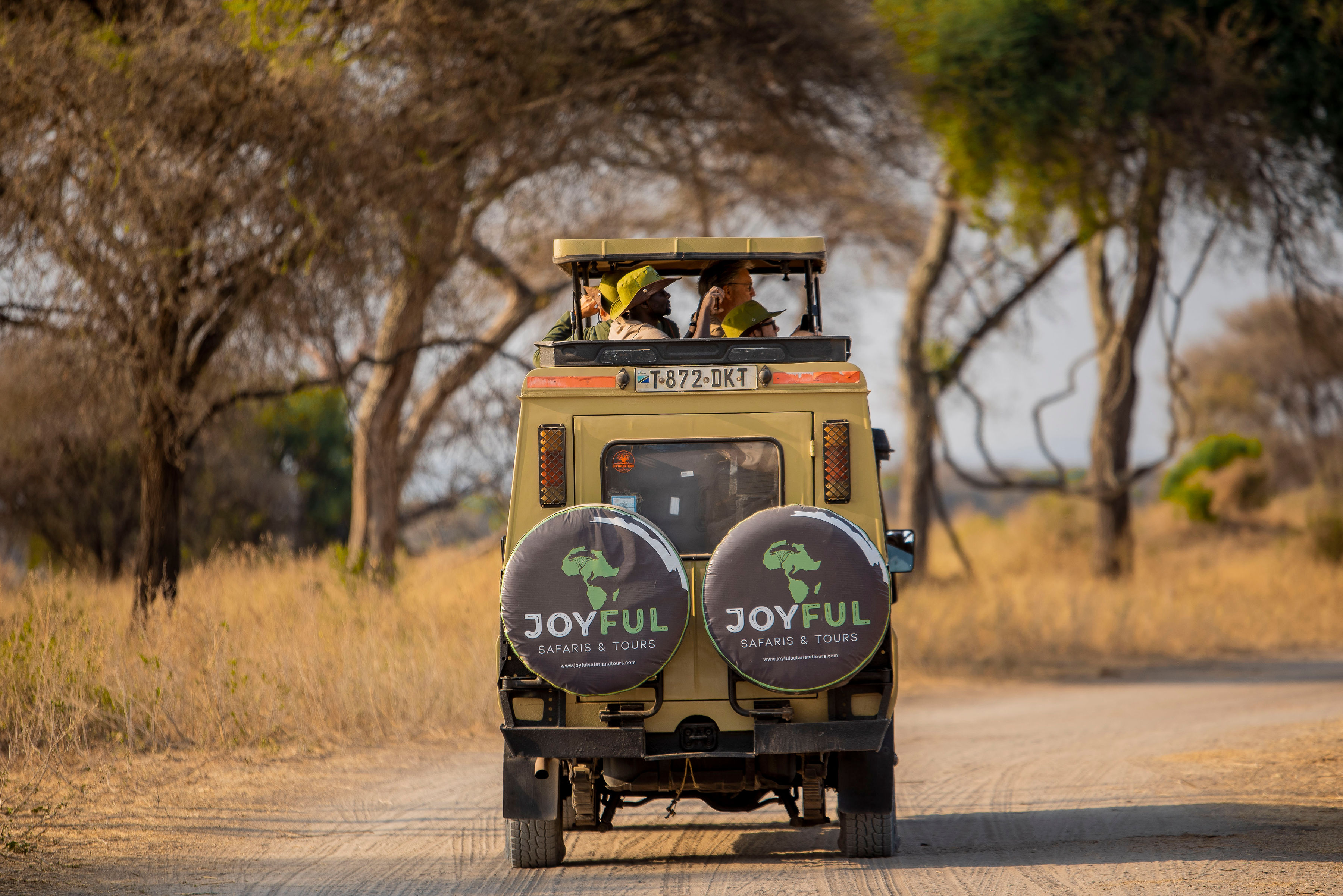 塞伦盖蒂平原10天豪华Safari - 1