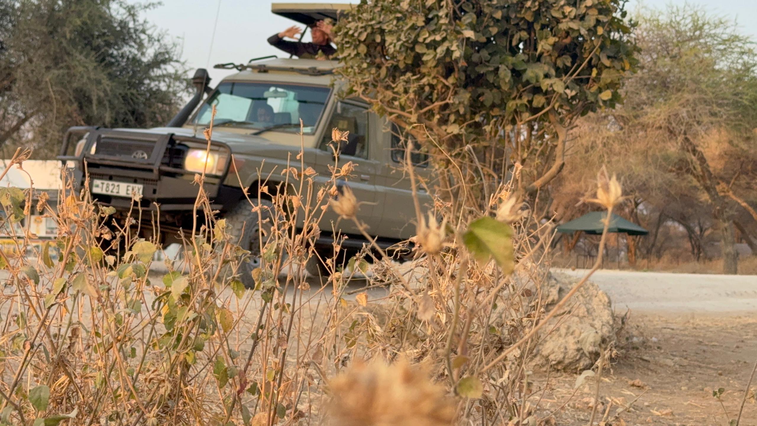 4天Safari-高端 - 3