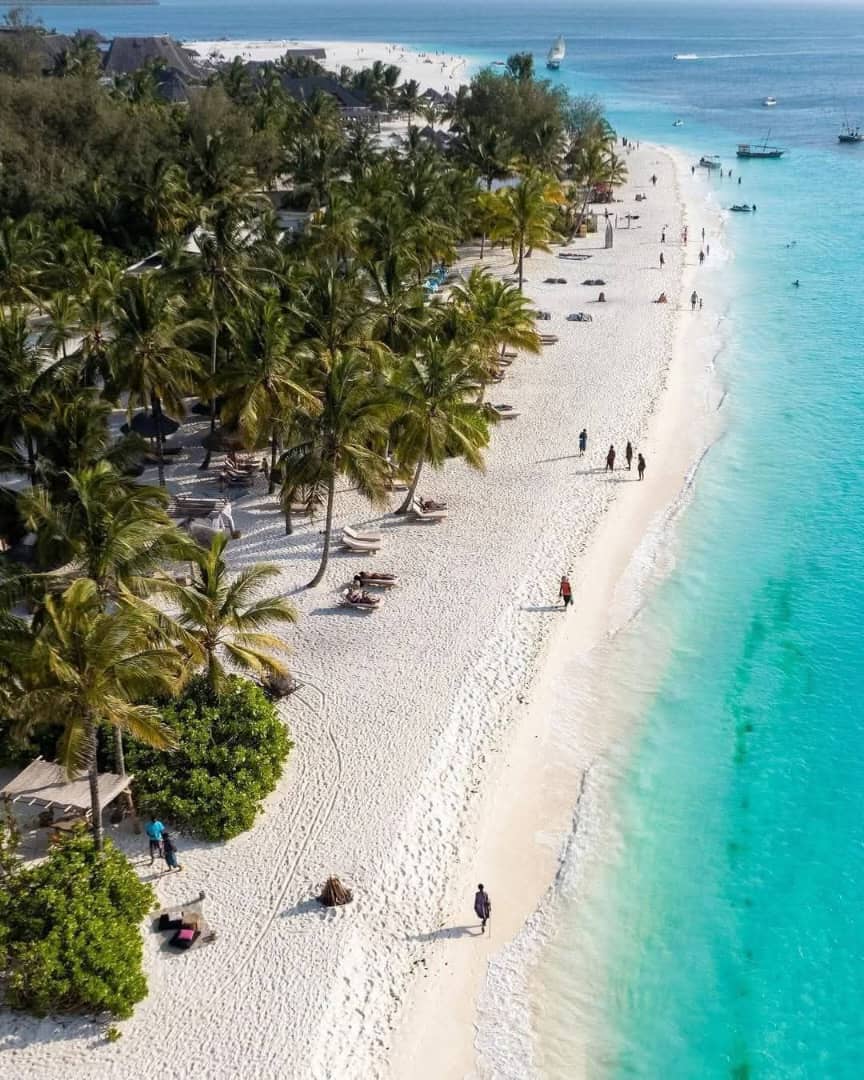 塞伦盖蒂平原10天豪华Safari - 4