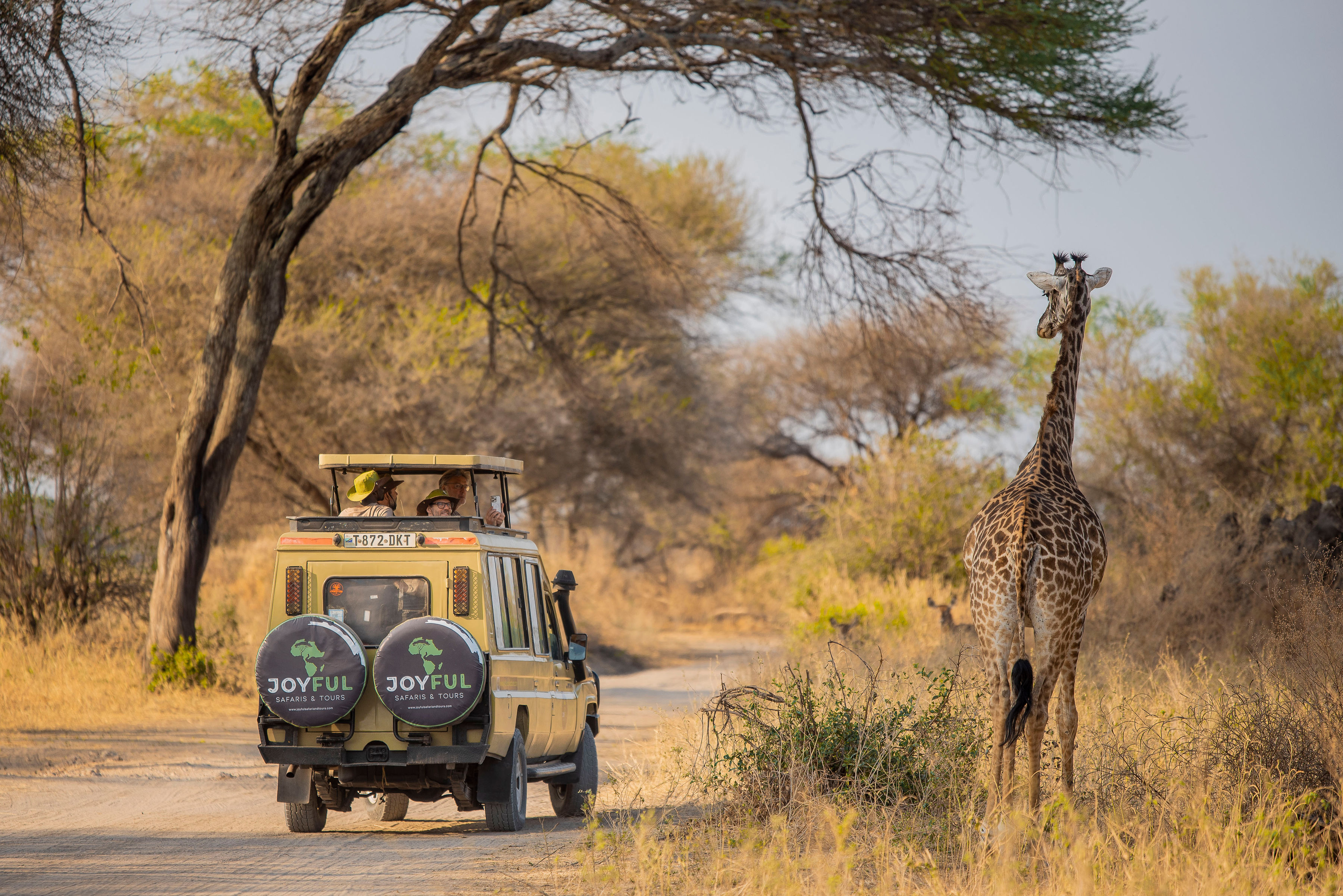 Lake Natron Tented Camp / World View Campsite/Maasai Giraffe Lodge / Similar