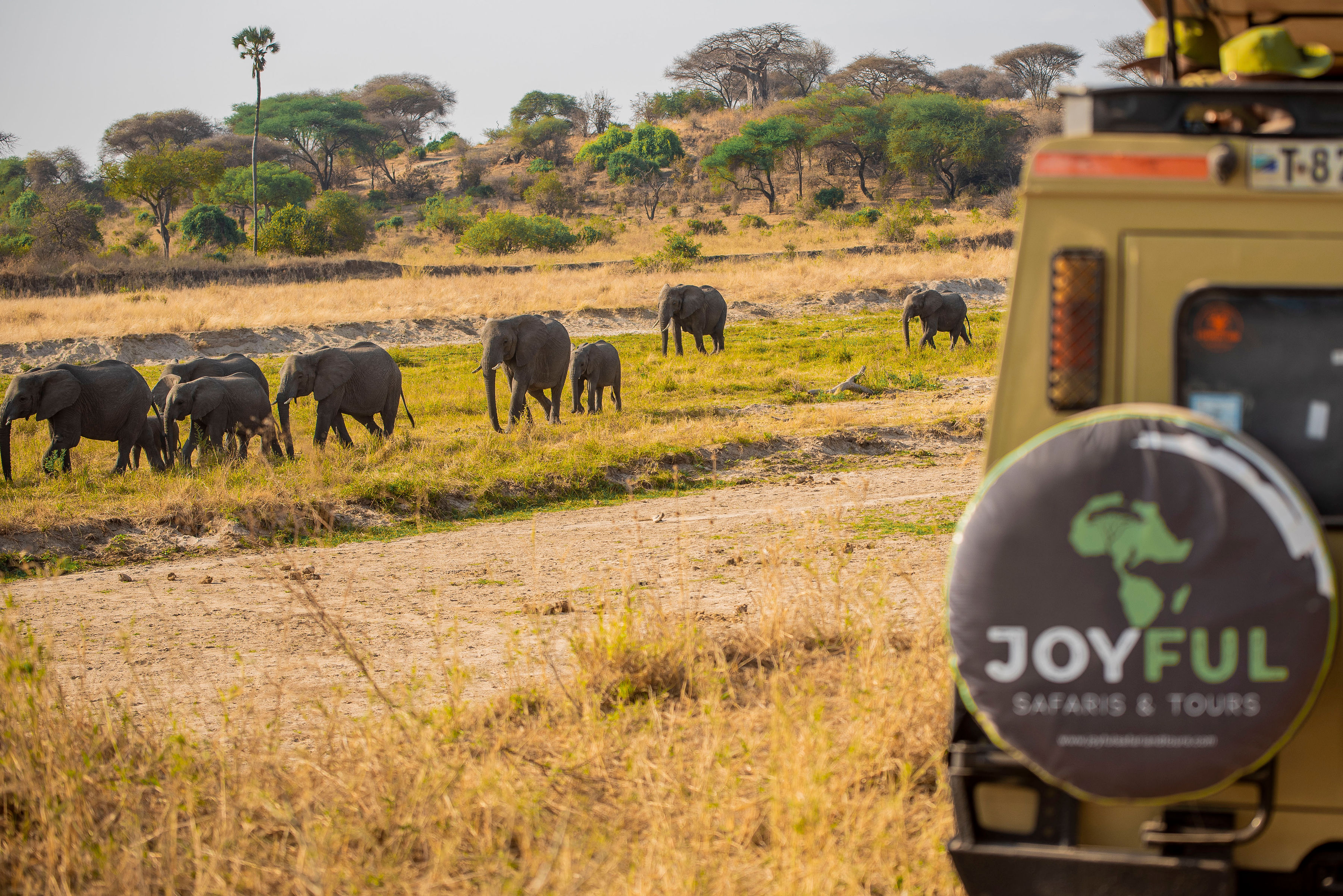 Olmorijo Camp  KOGATENDE