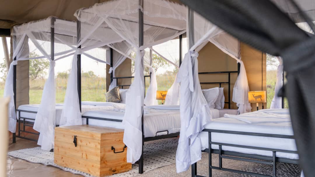 Matawi Serengeti Camp