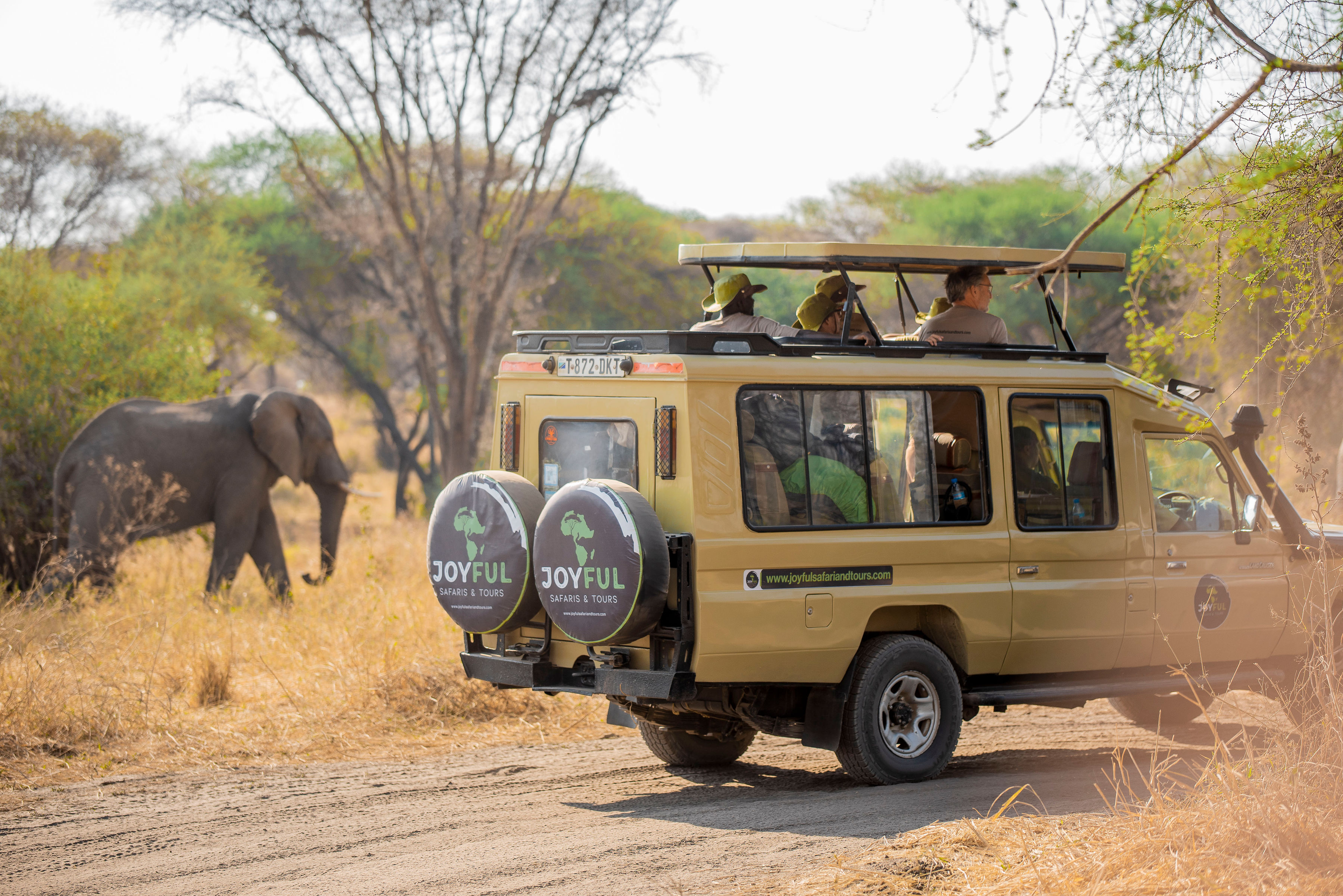 塔兰吉雷-塞伦盖蒂平原-恩戈罗恩戈罗4日游 - 1