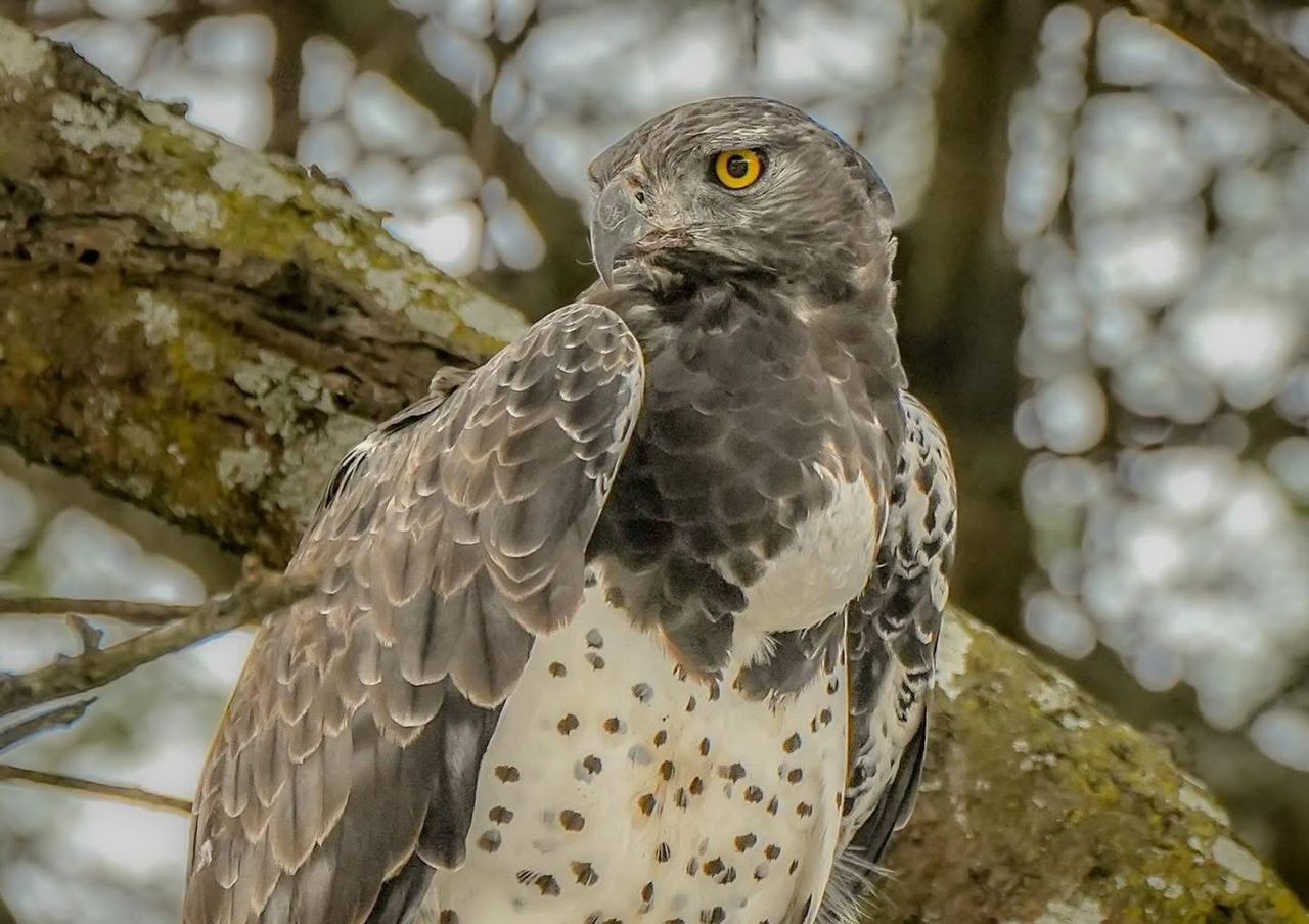 纳特龙湖和Ol Doinyo Lengai冒险徒步旅行 - 3