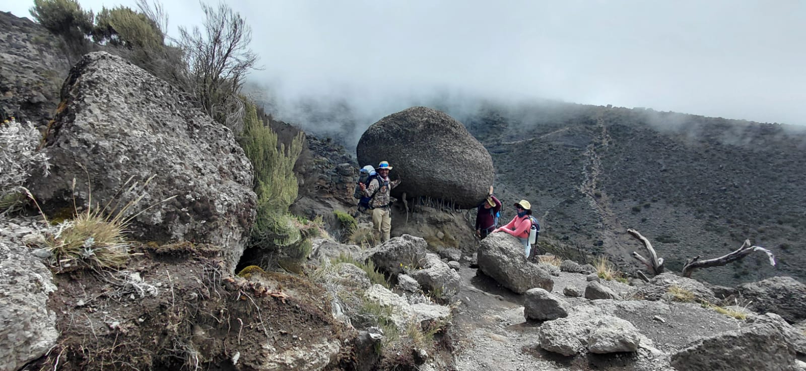 11天的旅程漫步乞力马扎罗山通过8天的北部环路路线 - 2