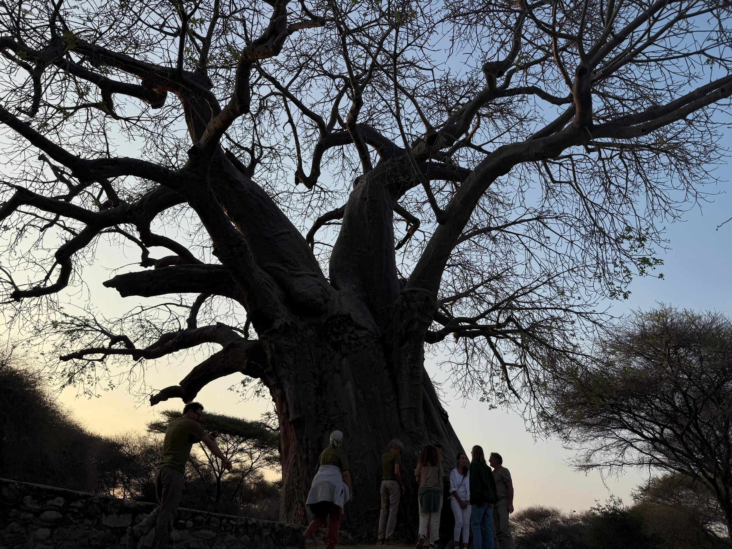 通过熔岩塔的乞力马扎罗山北线路线-通过熔岩塔适应的终极冒险 - 4