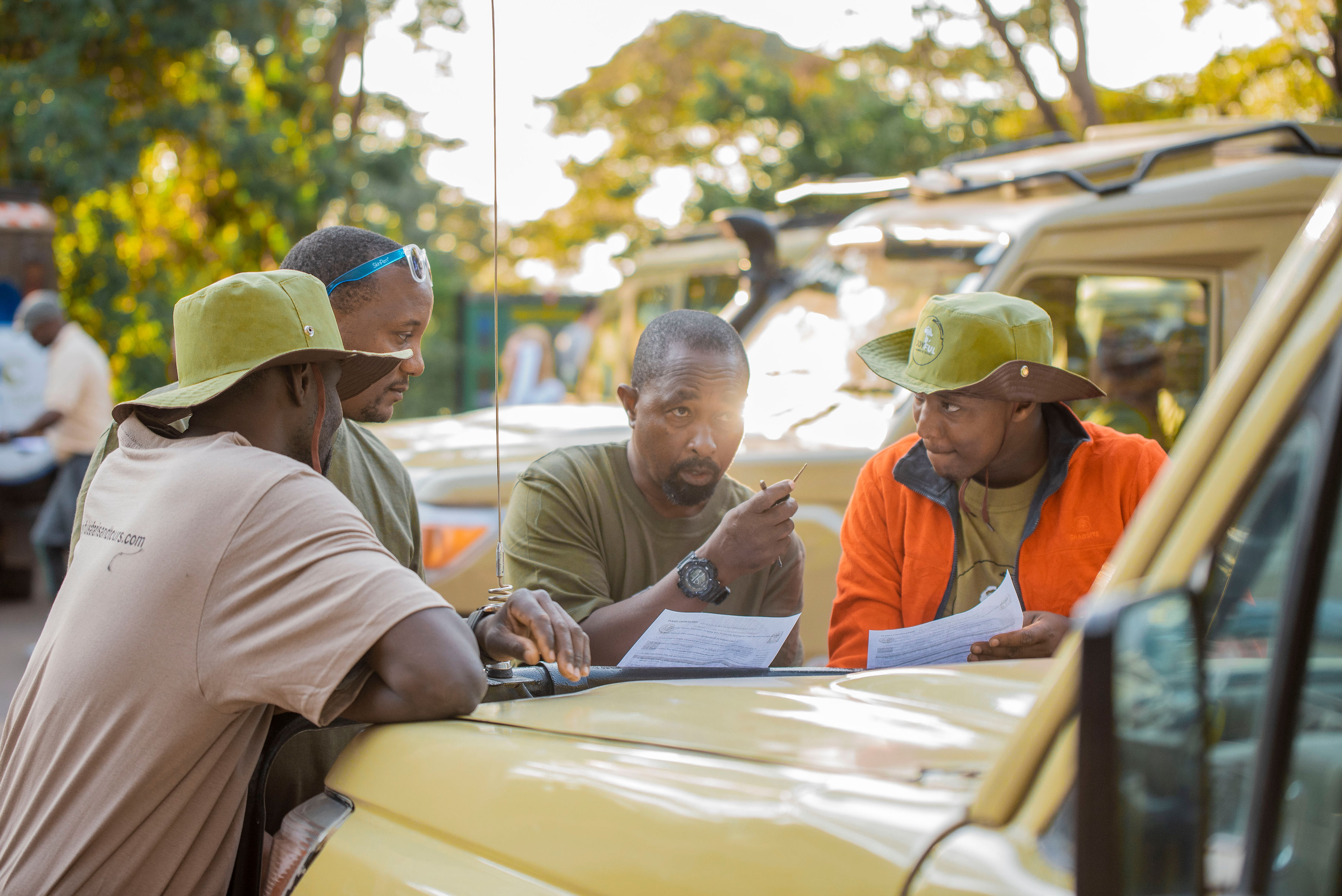 坦桑尼亚6天豪华之旅（含四季） - 1