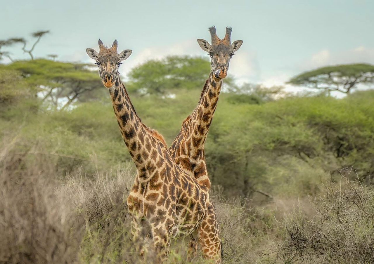 纳特龙湖和Ol Doinyo Lengai冒险徒步旅行 - 4