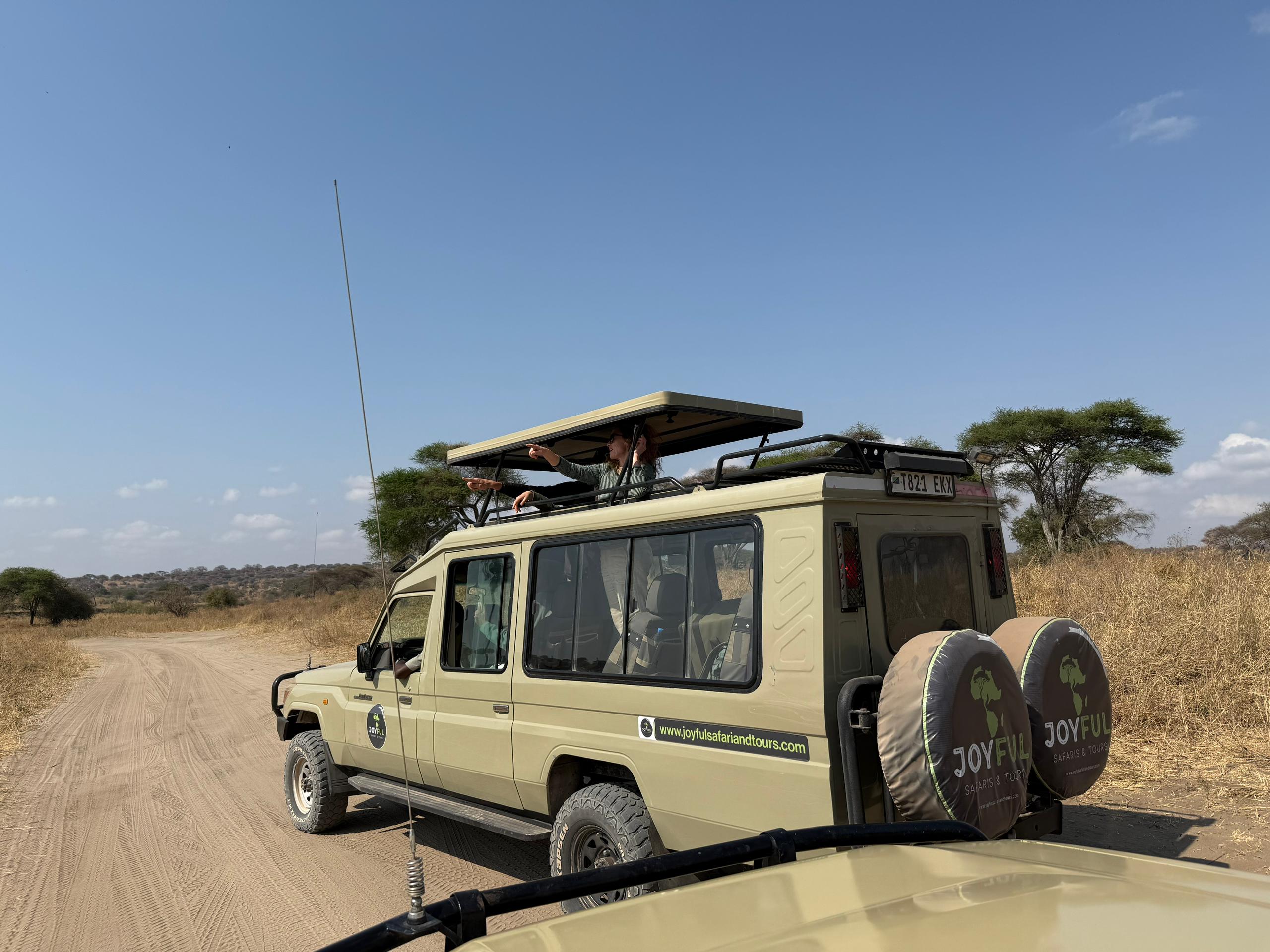 4天Safari-高端 - 2