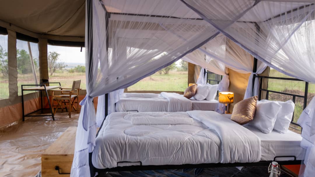 Safari Haven Migration Camp
