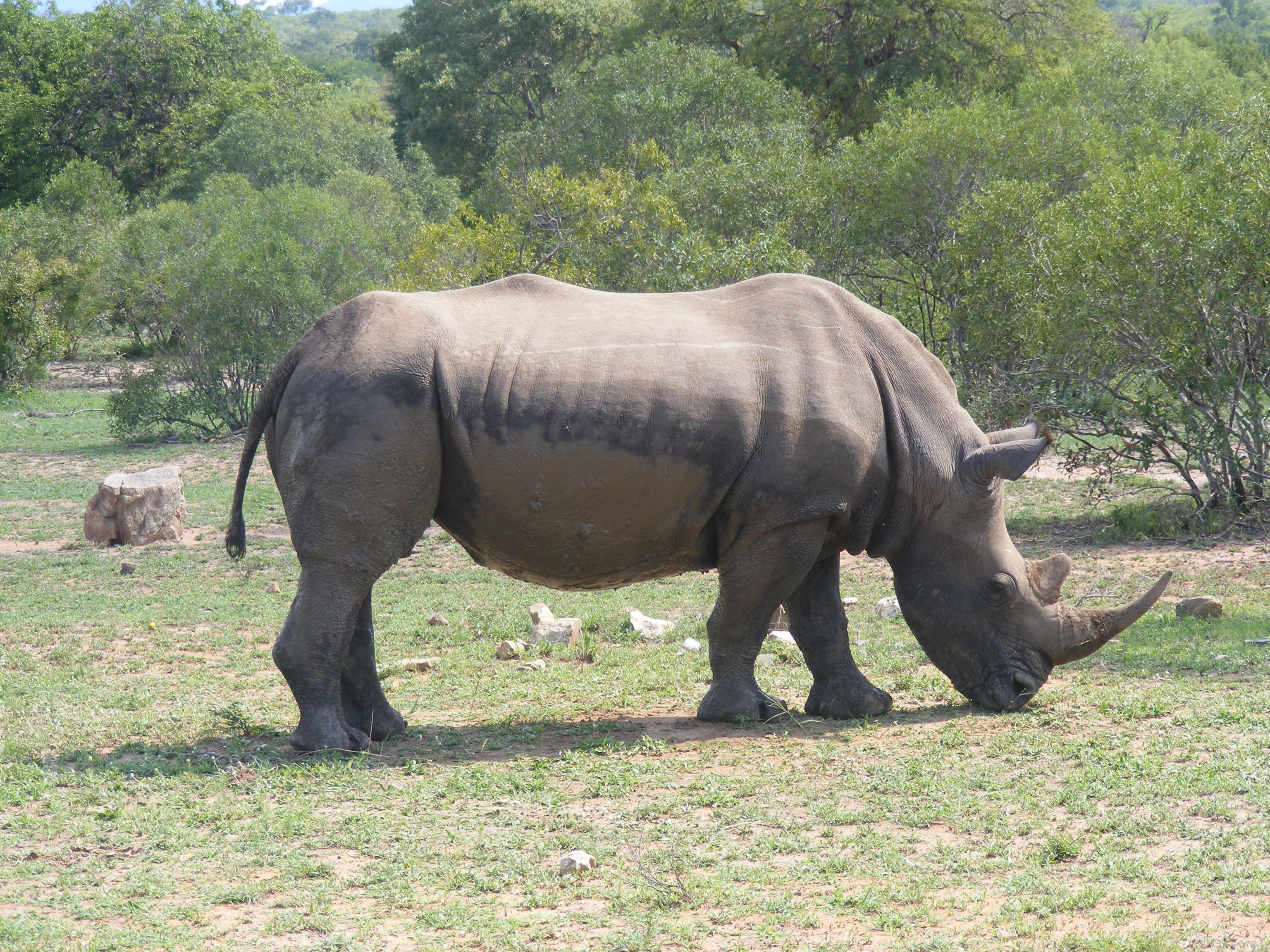 3天-负担得起的激动人心的克鲁格冒险  - 4