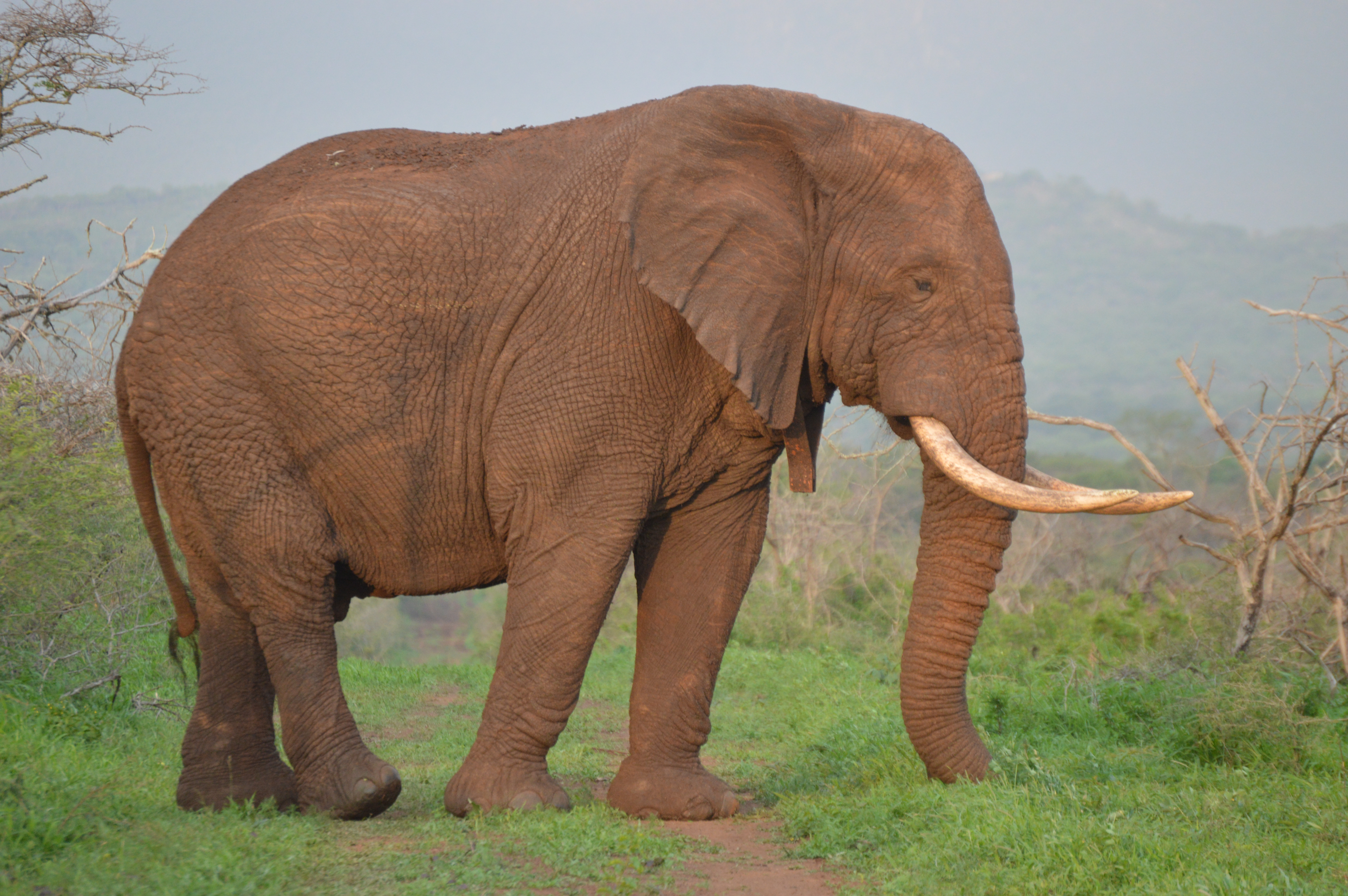 3 Day - Affordable  Exciting Kruger Adventure 