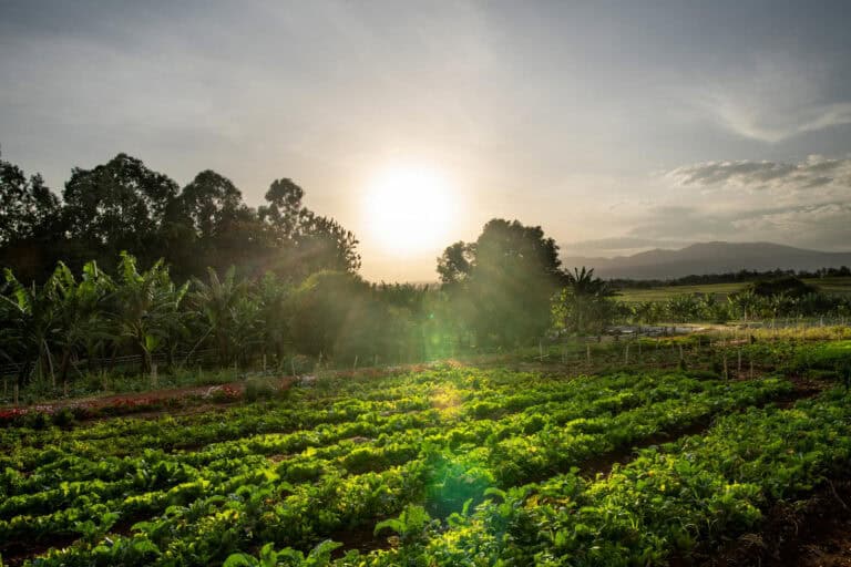 预算Safari幸福：探索坦桑尼亚的北部电路 - 2