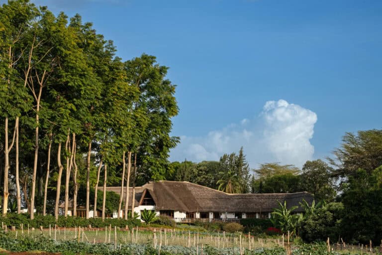  Ngorongoro Farm House