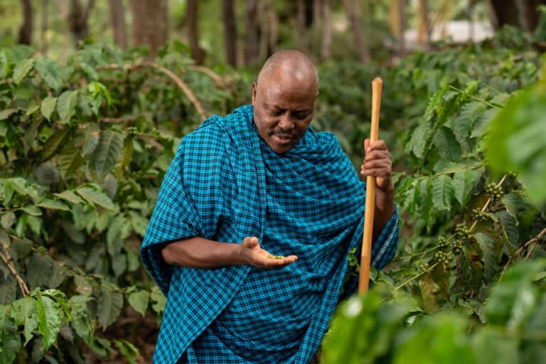 预算Safari幸福：探索坦桑尼亚的北部电路 - 1