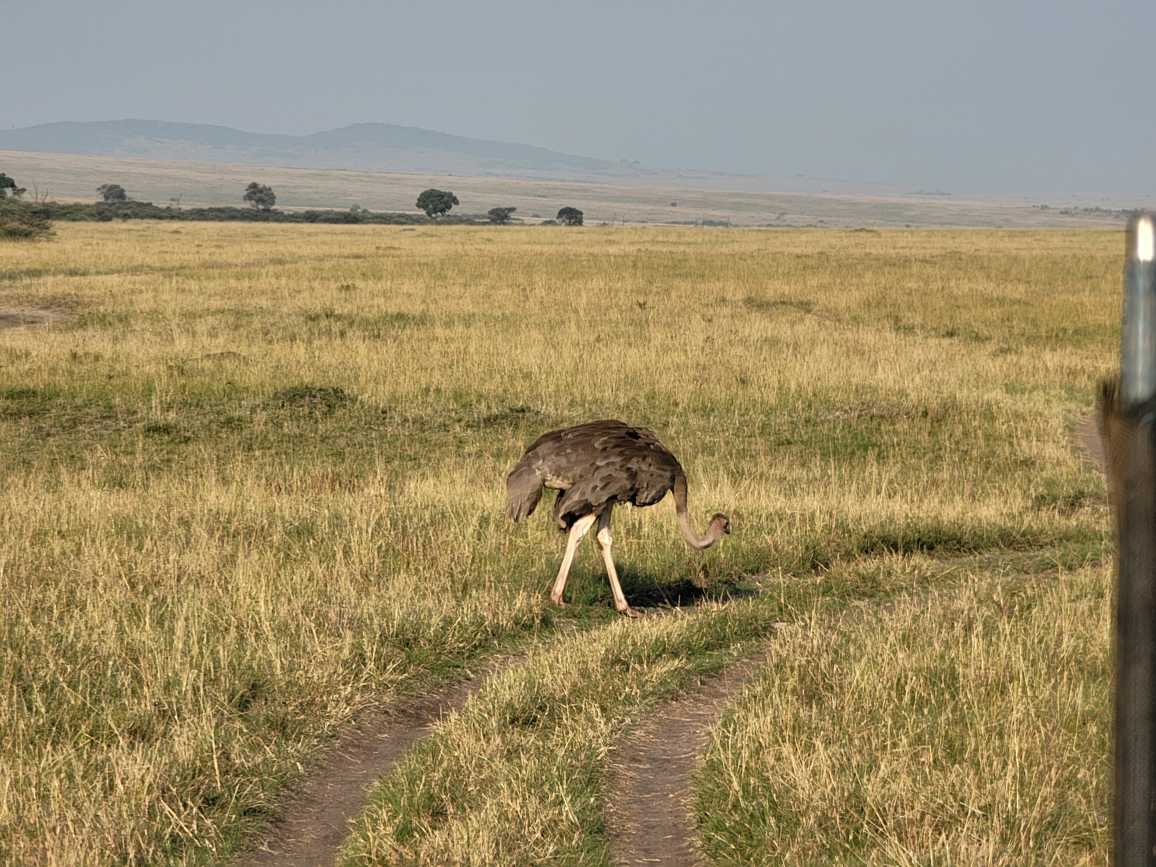 Experience Tanzania in Style – 7 Days with Serena Collection