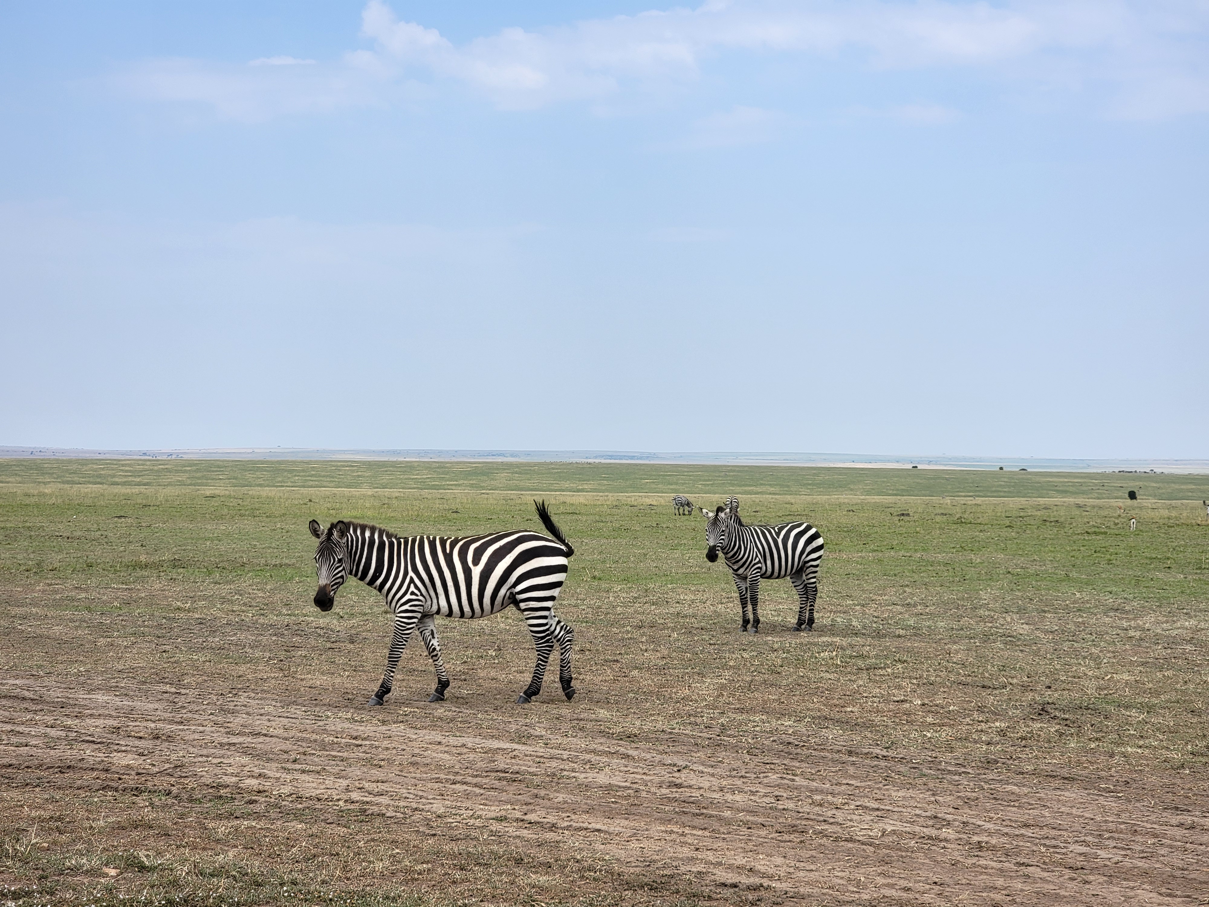 Experience Tanzania in Style – 7 Days with Serena Collection - 1