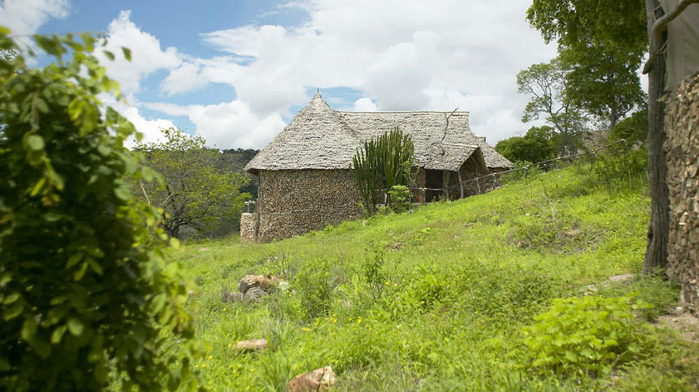 坦桑尼亚-4天SelousSafari与Beho Beho-定制飞翔 - 1