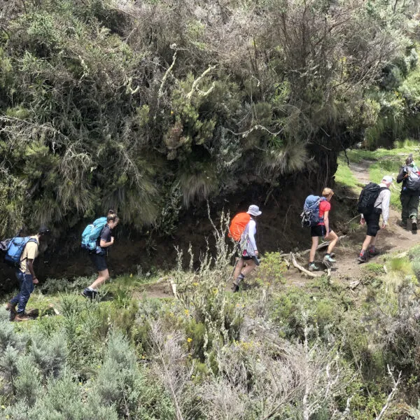 3天梅鲁山徒步旅行 - 2